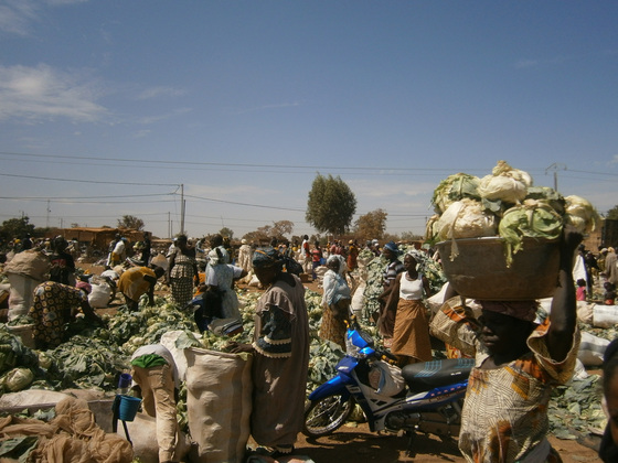訪問した当時の活動地の市場。収穫されたキャベツが一面に。