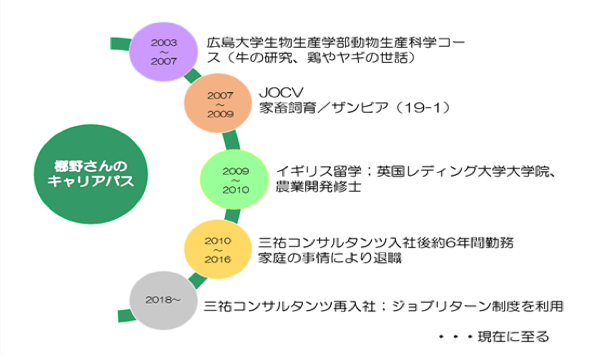 梛野さんのキャリアパス