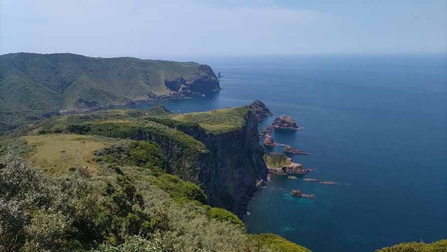 写真:西ノ島の摩天崖。地球の営みを身近に感じることが出来るのも隠岐の魅力。