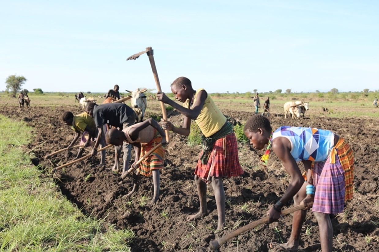 荒地を耕し、灌漑用農地を整備する住民たち